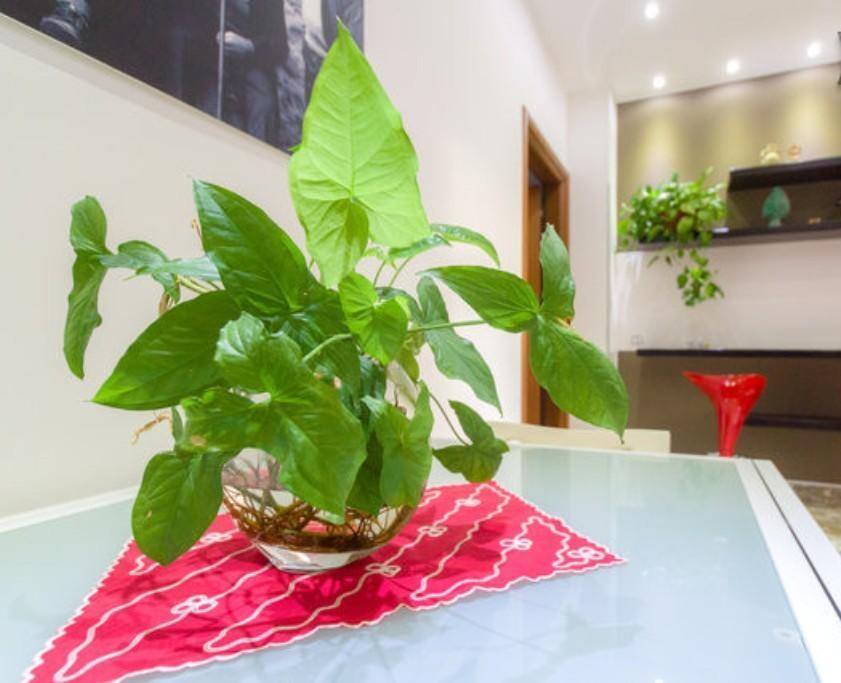 マルサラ Porta Nuova Bed & Breakfast エクステリア 写真
